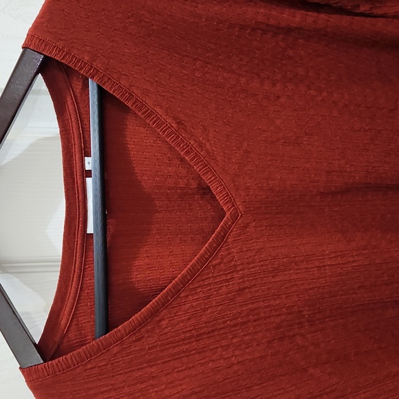 Chicos Rust Vneck Blouse With Long Knit Cuffs Sz 4 (XXL) - Picture 2 of 8